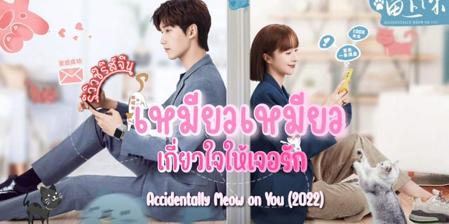 รวว เหมยวเหมยวเกยวใจใหเจอรก Accidentally Meow on You 2022