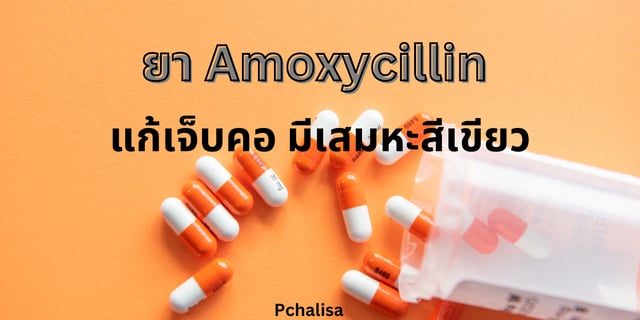 Amoxycillin