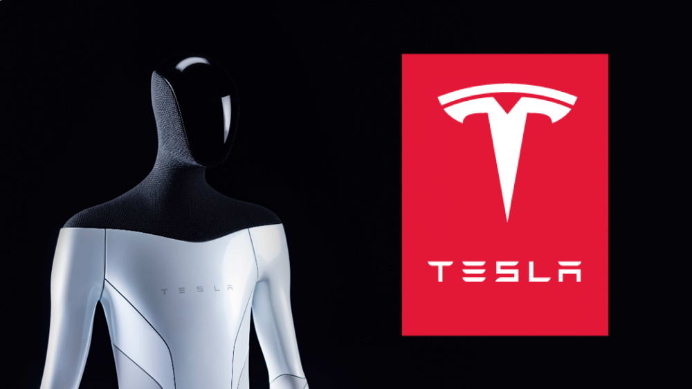 Tesla unveils Tesla Bot humanoid robot project - TrueID