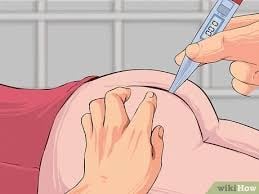 ការវាស់ត្រង់រន្ធគូថ