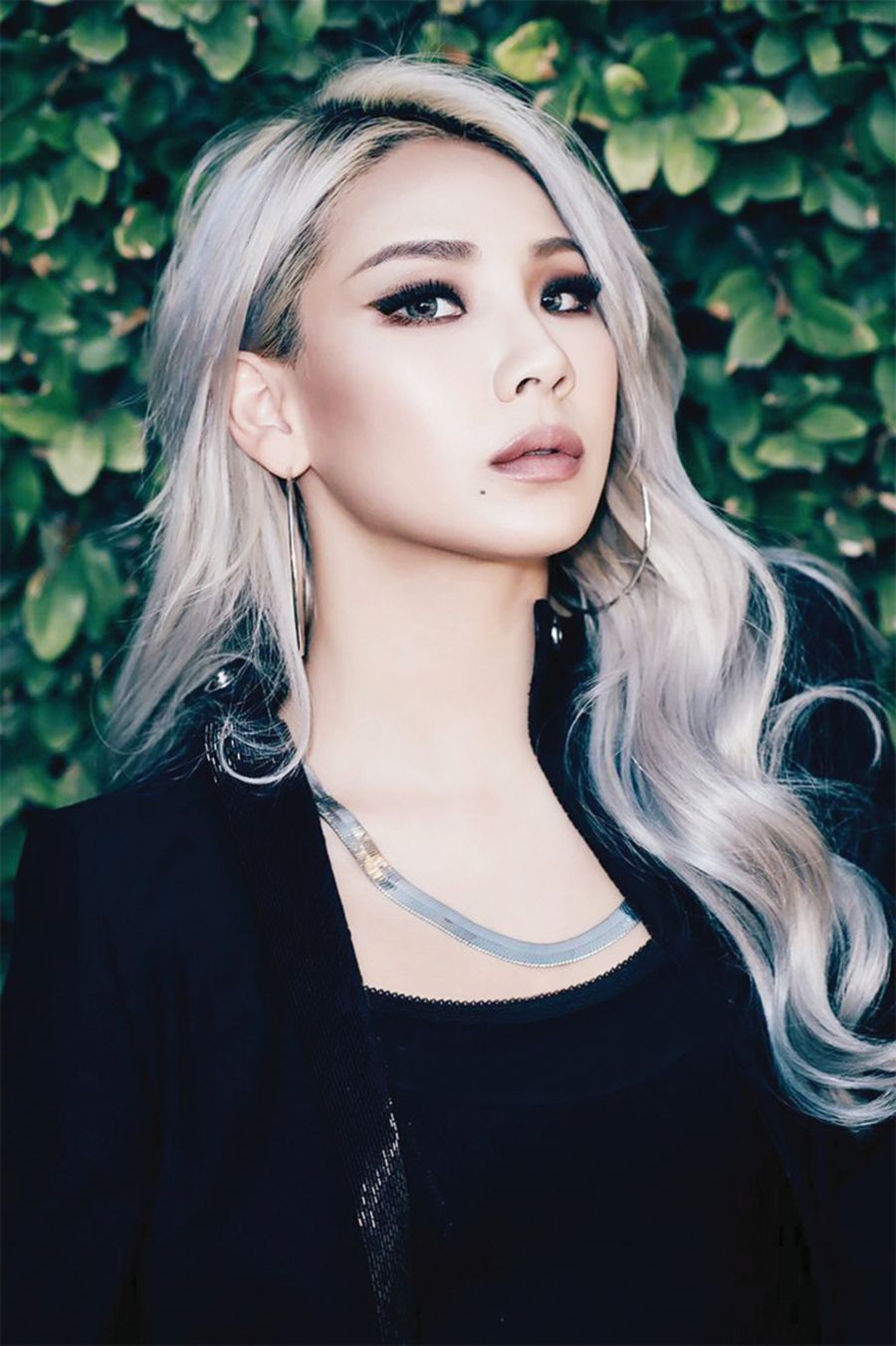 CL&nbsp;