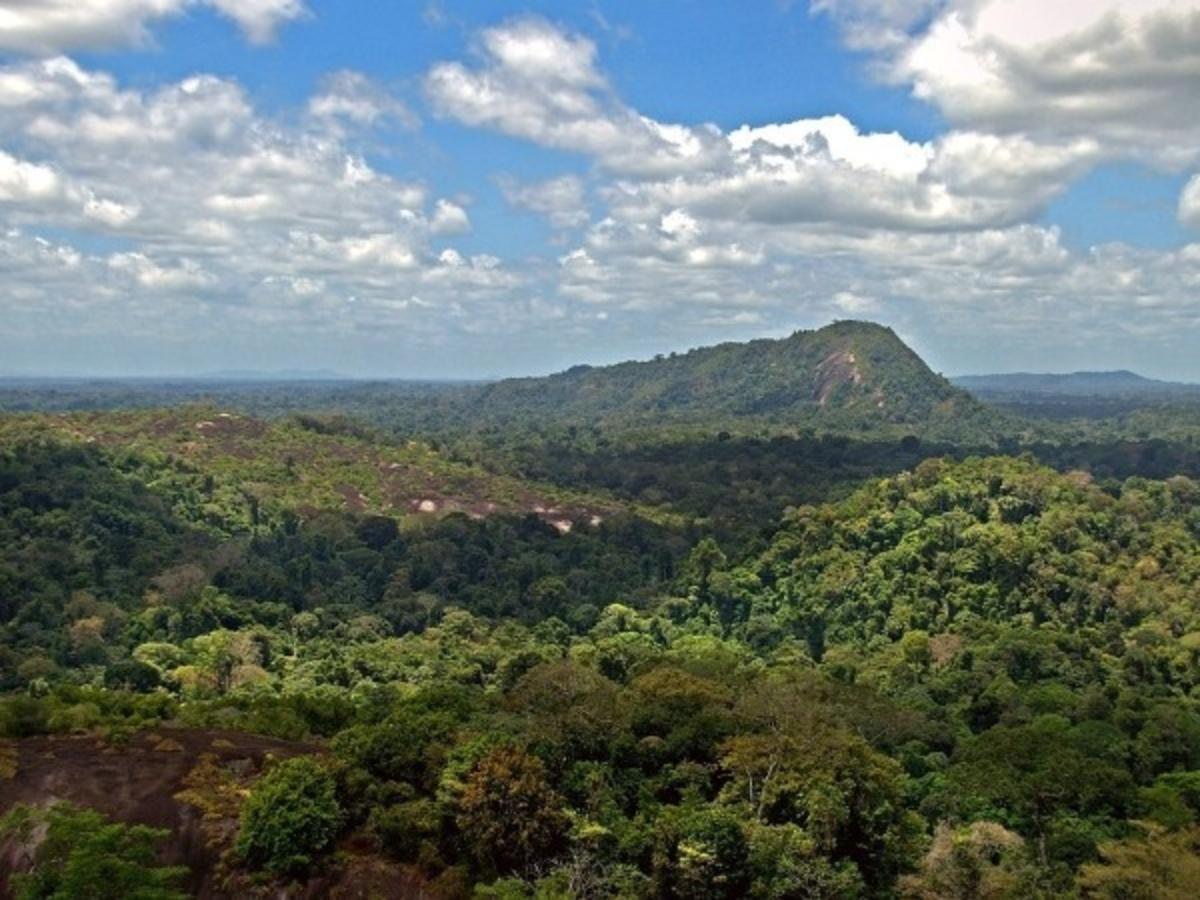រូបតំណាង