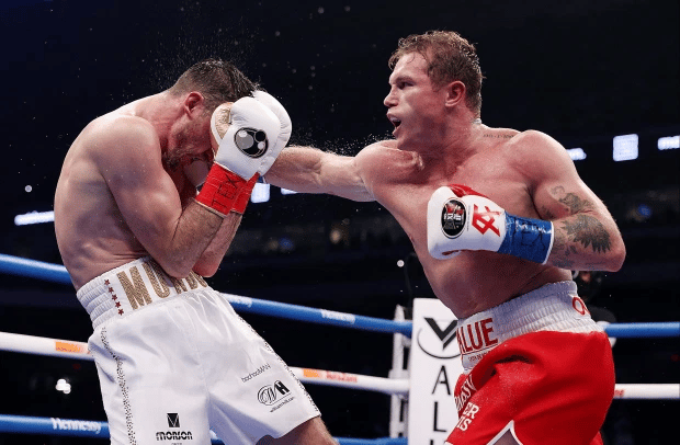 កីឡាករ Canelo Alvarez (ខោក្រហម)