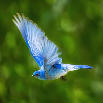 រូបភាពតំណាង
