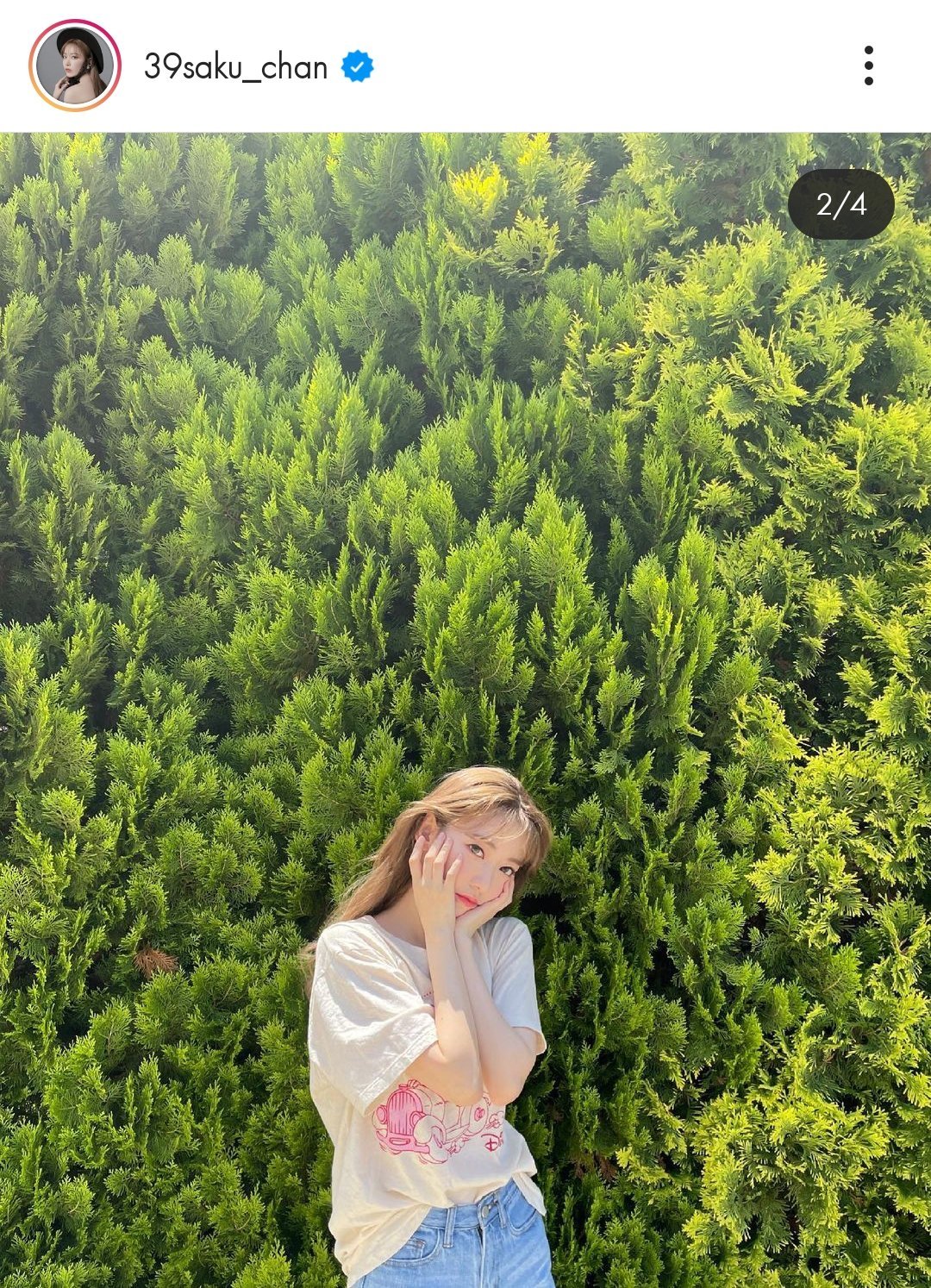 Sakura