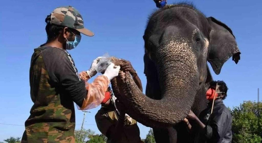 រូបភាព