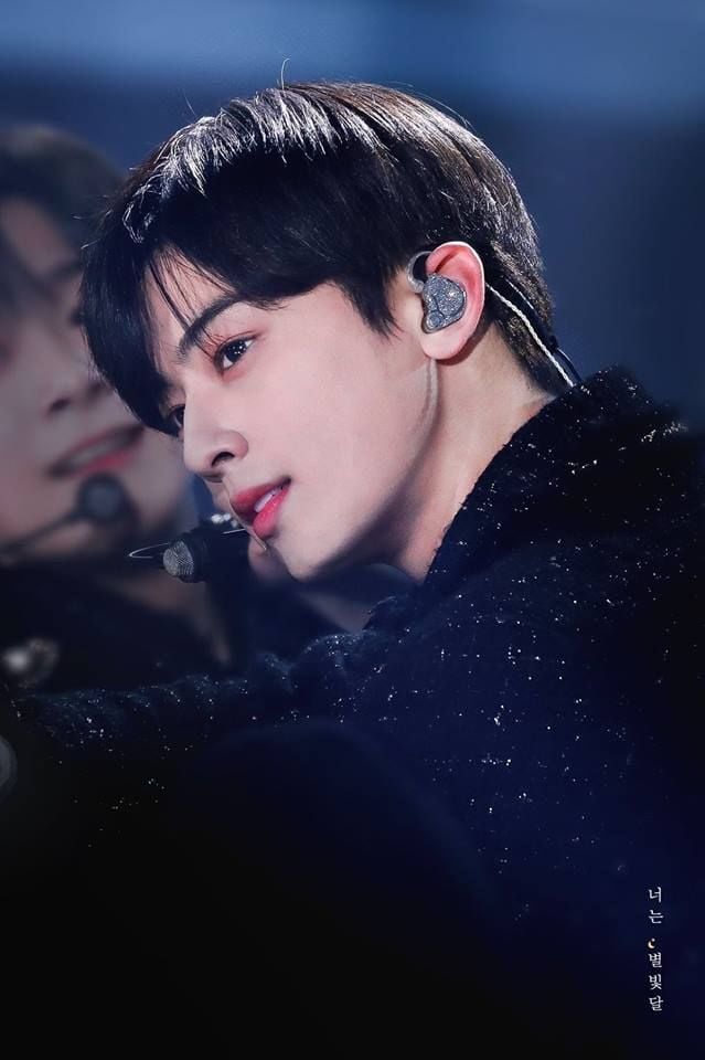 Cha Eun Woo