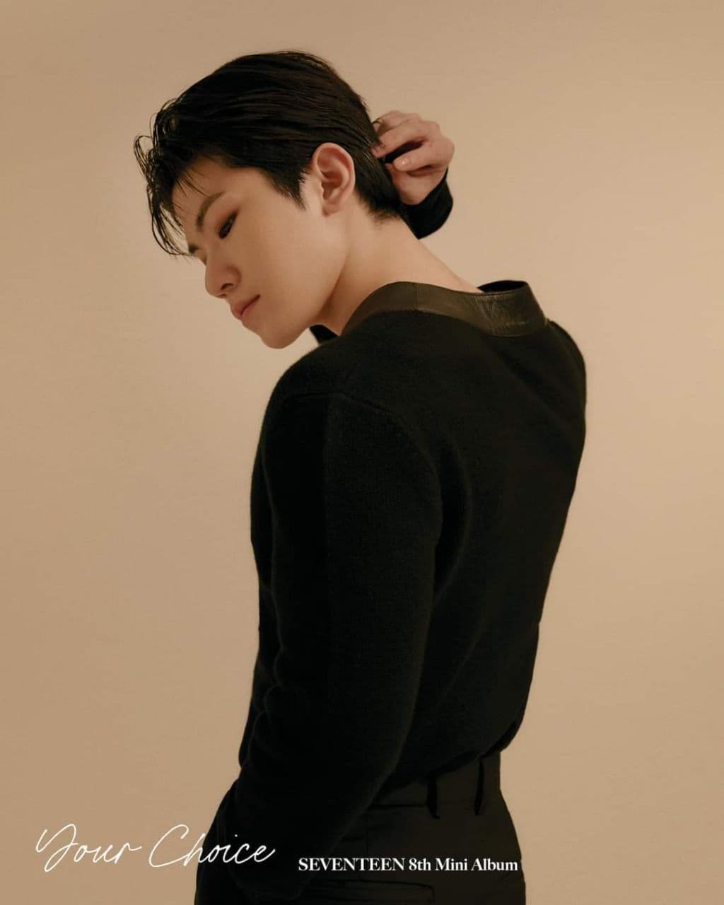 Woozi - Lead Vocalist, Producer&nbsp; និងជា ប្រធានក្រុមផ្នែកច្រៀង (1996)