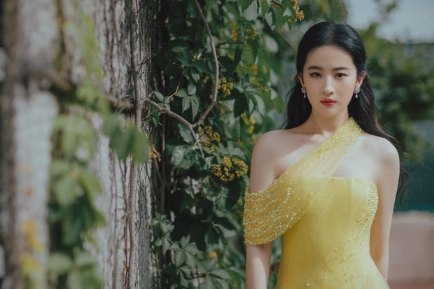 Liu Yifei&nbsp;