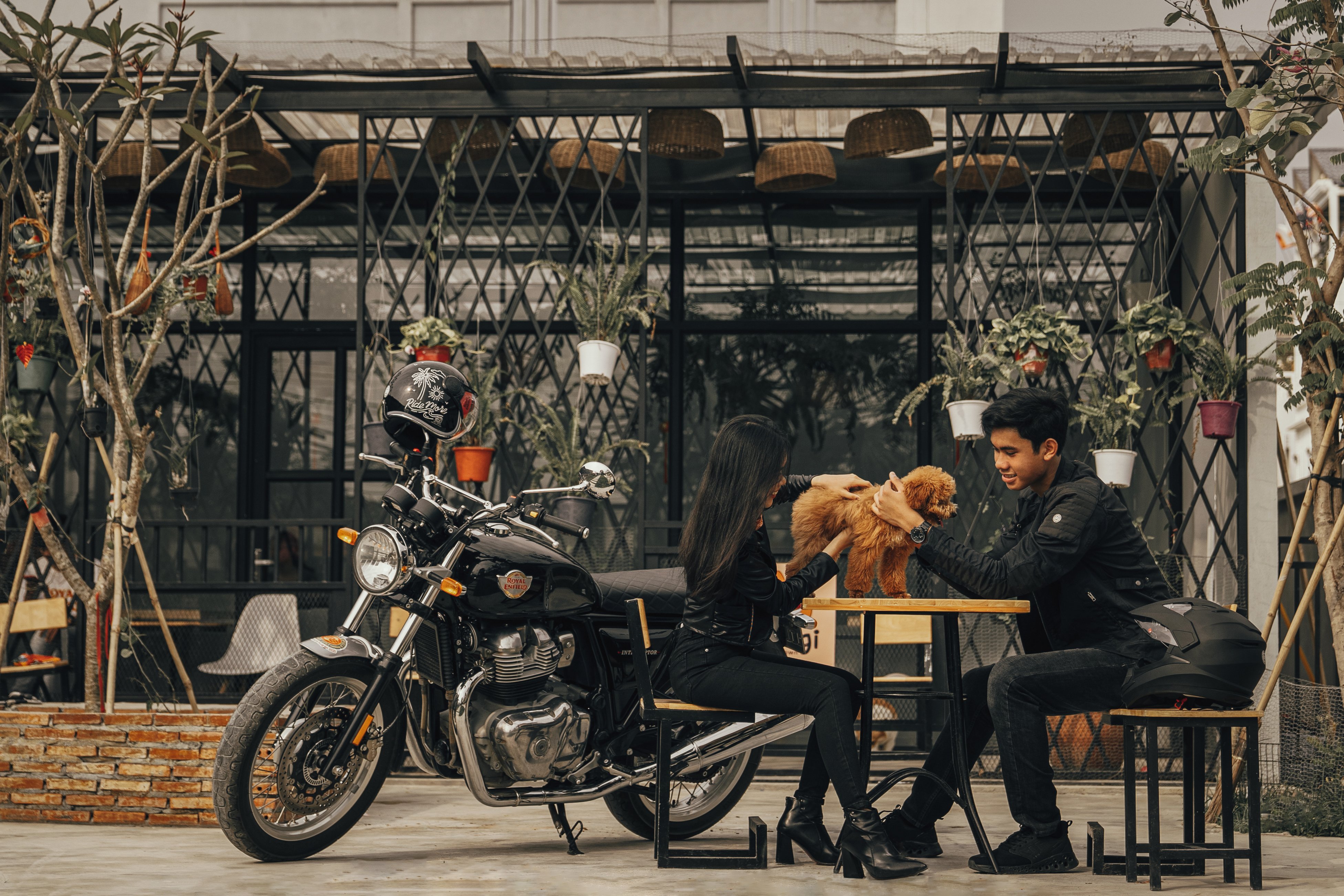 ម៉ូតូ Royal Enfield Interceptor