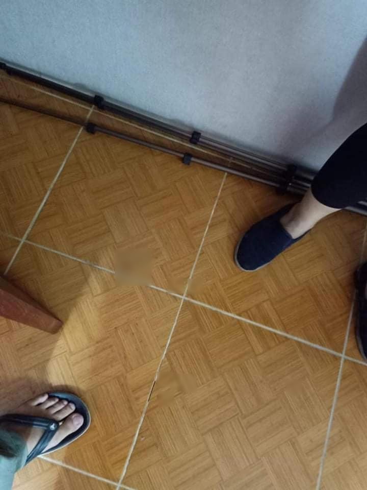 ស្នាមឈាមលើឥដ្ឋ