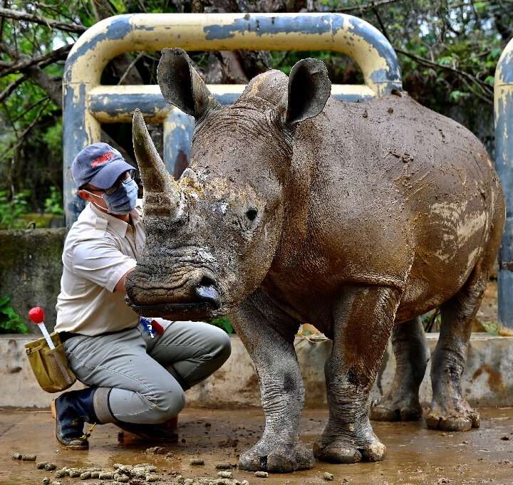 រមាសអ៊េមម៉ា