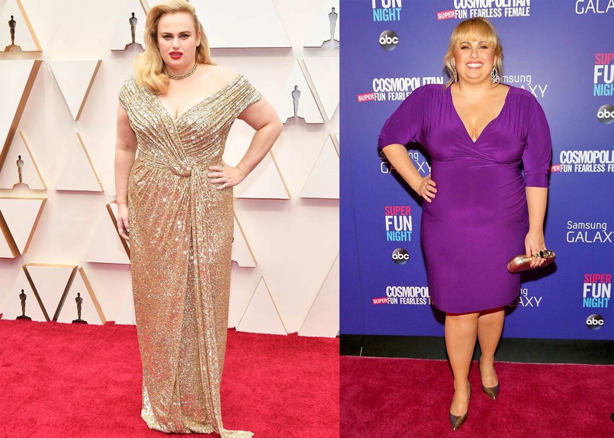 Rebel Wilson កាលពីមុន