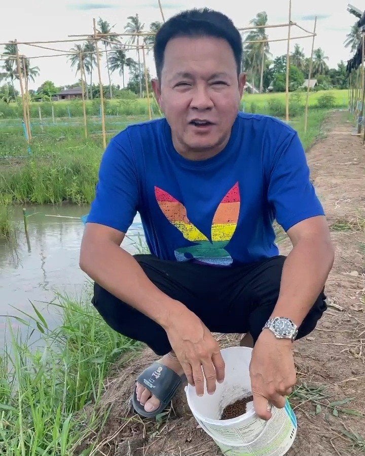 រូបភាព តាមសួនបន្លែ របស់ Jaturong