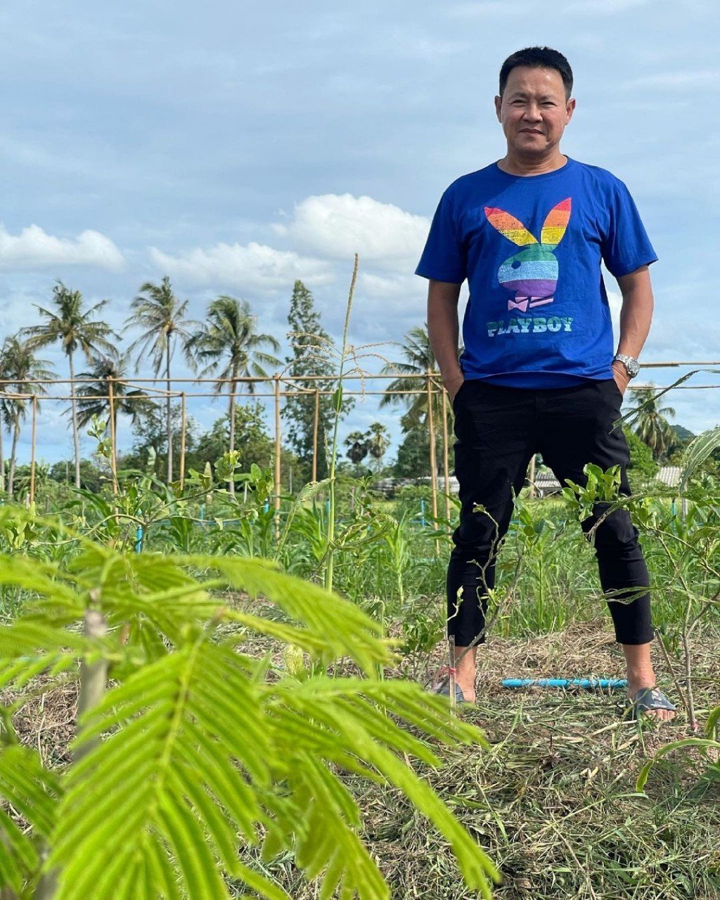 រូបភាព តាមសួនបន្លែ របស់ Jaturong
