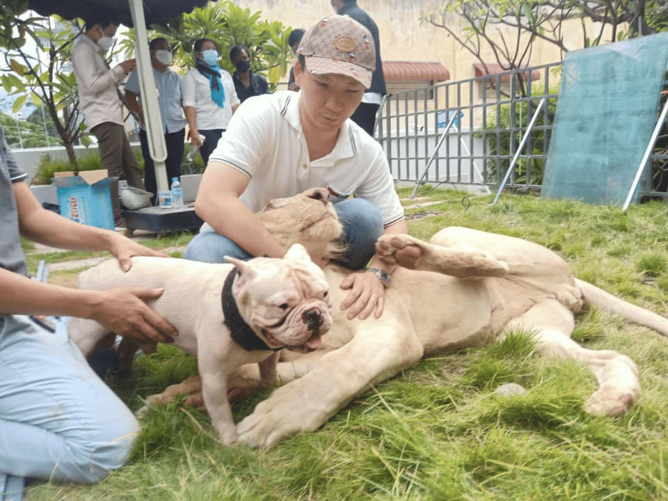 រូបភាព