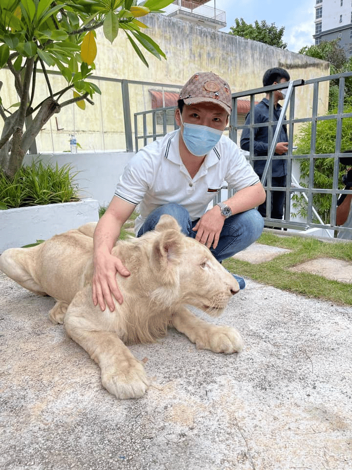 រូបភាព