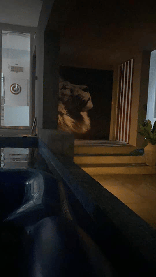 រូបភាព