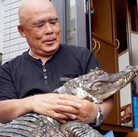 សត្វក្រពើ និងម្ចាស់