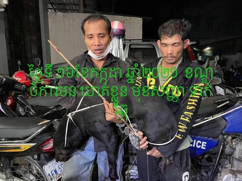 ពួកអ្នកទាក់
