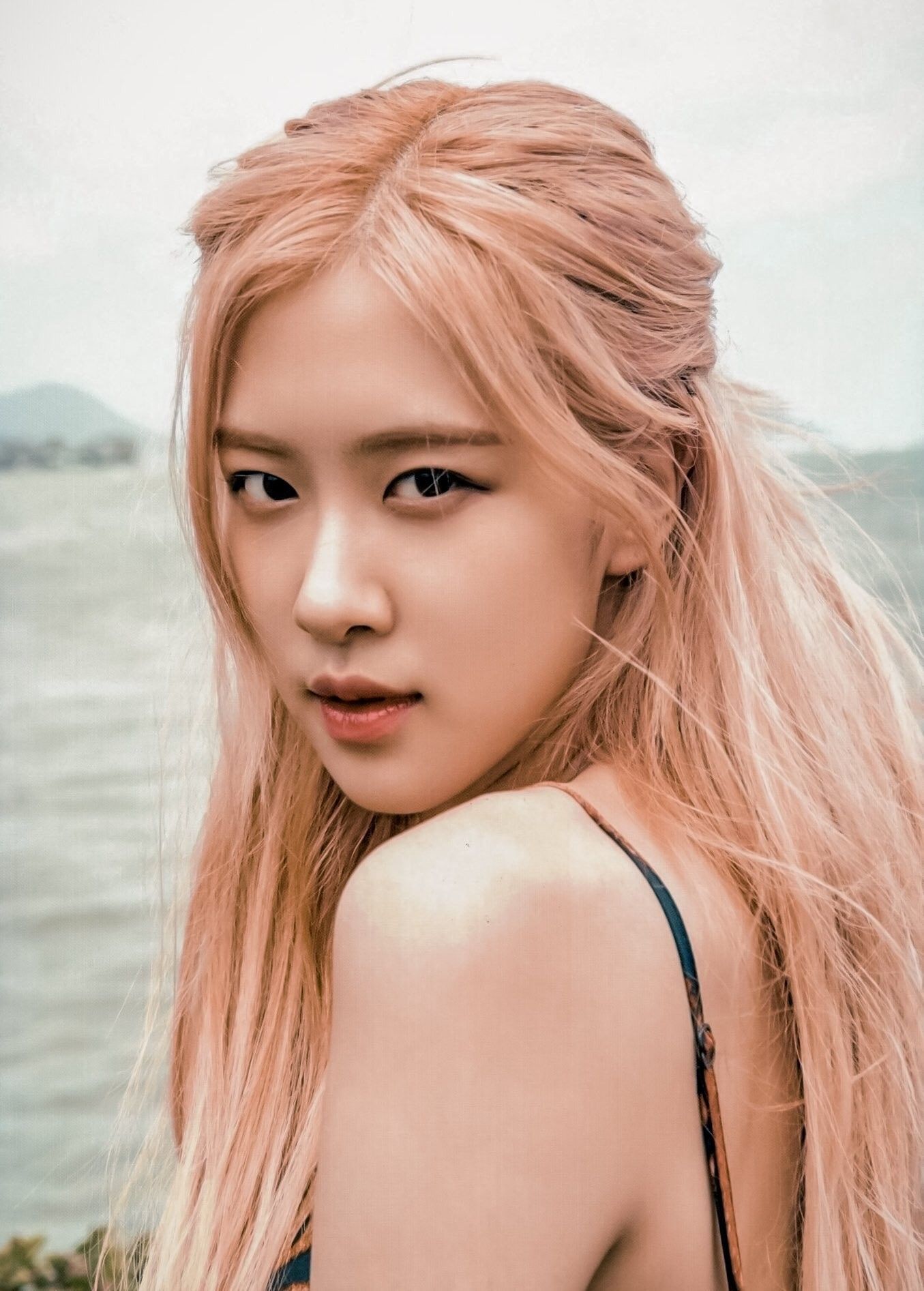 Rose&nbsp;