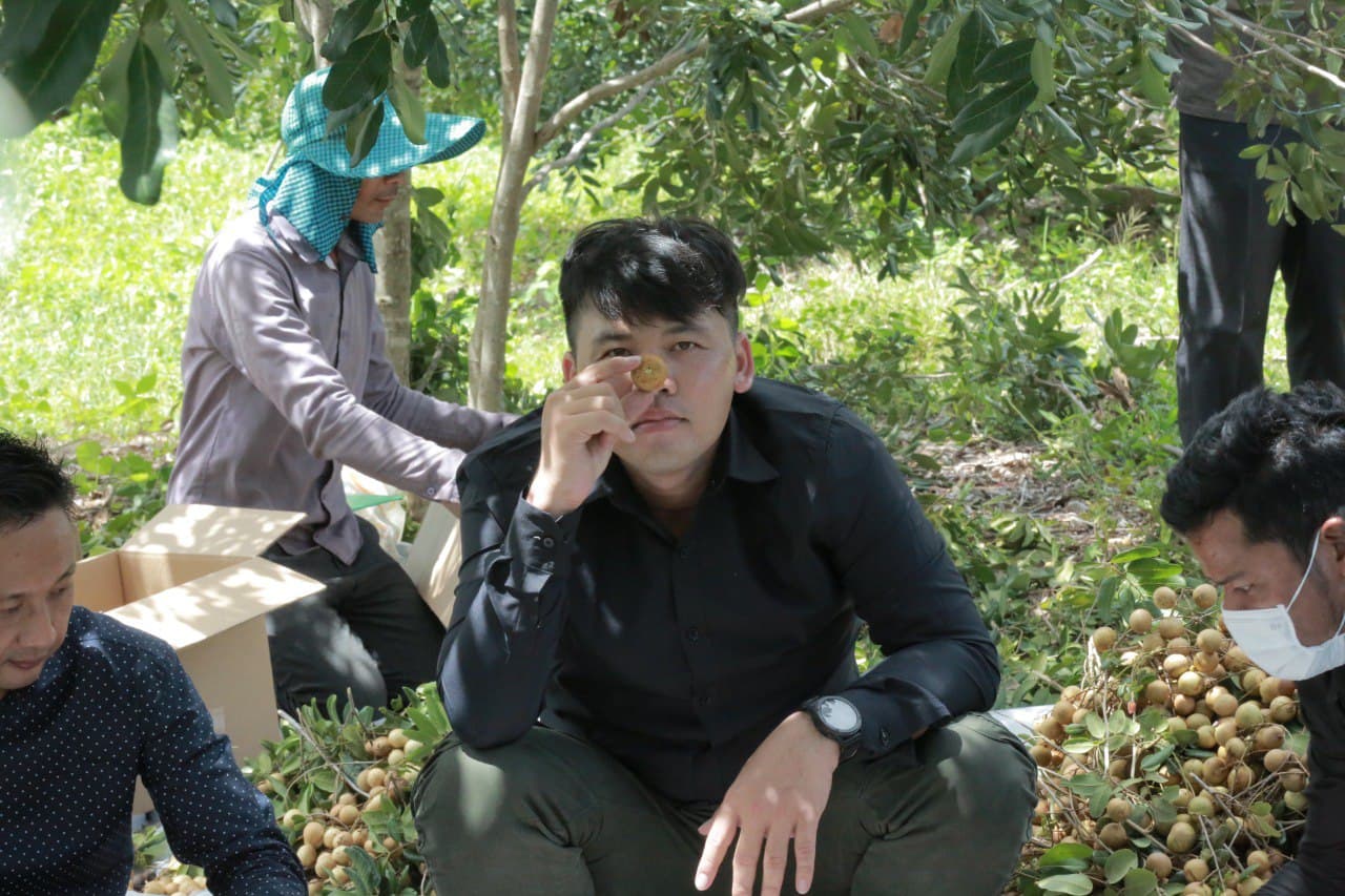អ្នកឧកញ៉ា ឡេង ណាវ៉ាត្រា ចុះប្រមូលទិញផ្លែមៀនដោយផ្ទាល់