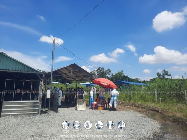 រូបភាព (អនុគណៈកម្មការស្រាវជ្រាវជំងឺកូវីដ១៩)
