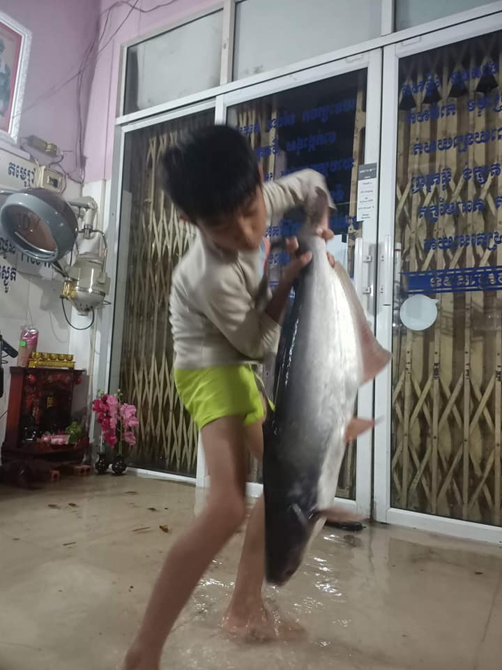 ចូលក្នុងផ្ទះ