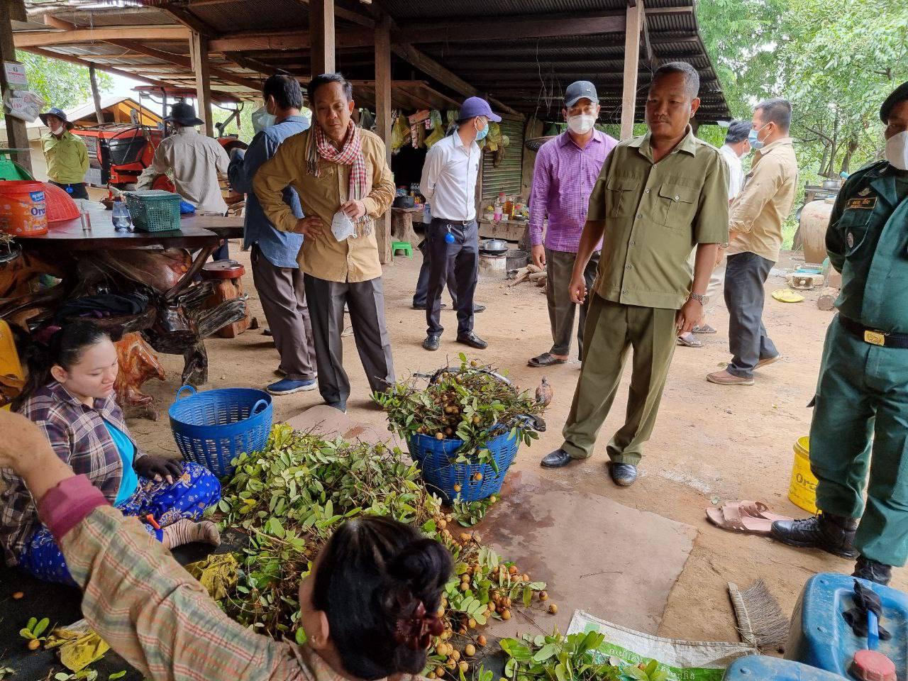 ផ្លែមៀនប៉ៃលិន