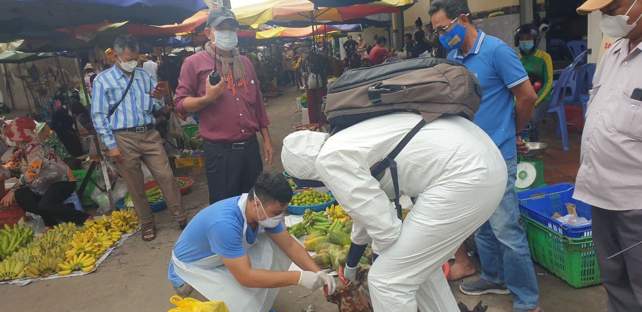 រូបគ្រូពេទ្យយកសំណាកសត្វមាន់