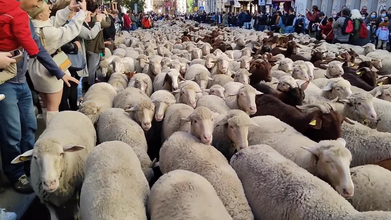 រូបភាព