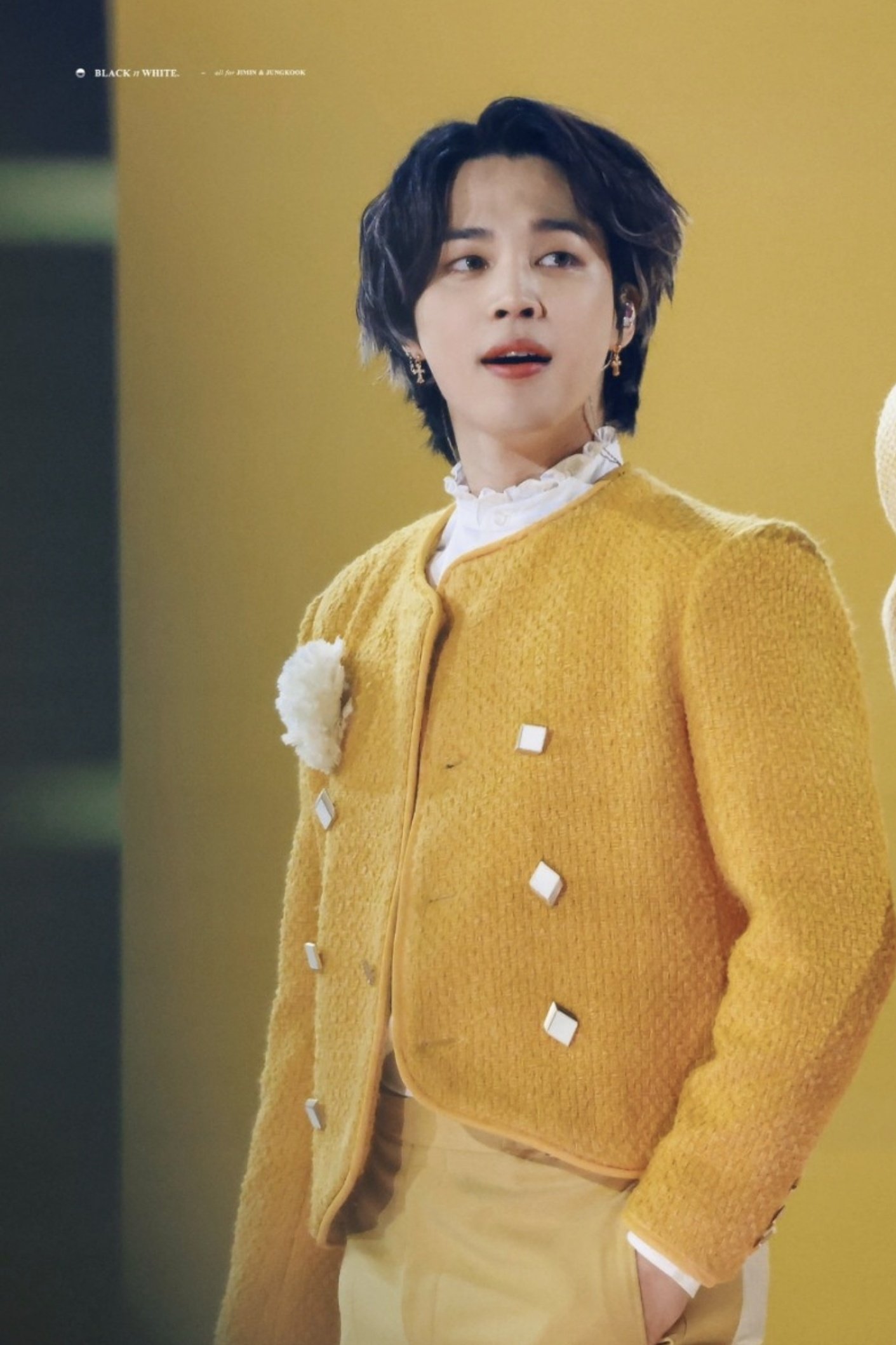 Jimin&nbsp;