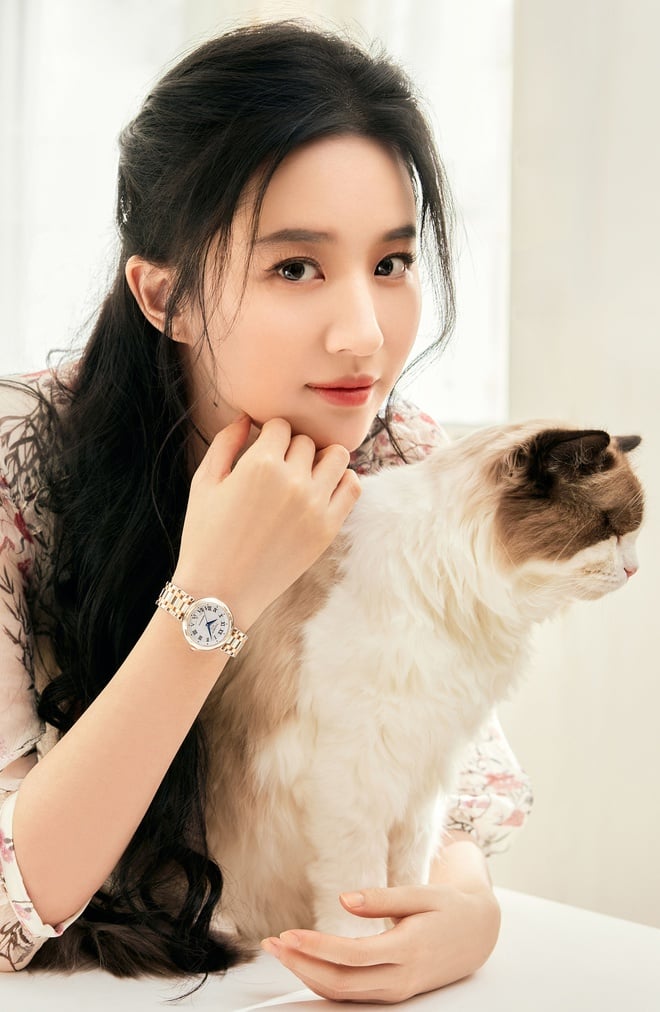 Liu Yifei