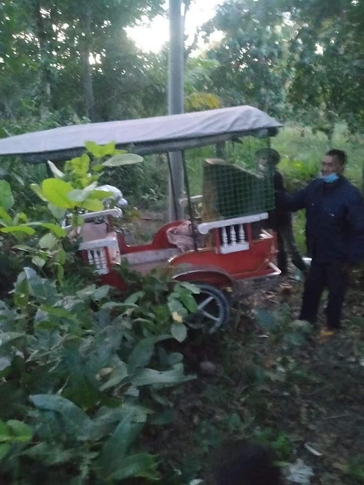 រូបភាព
