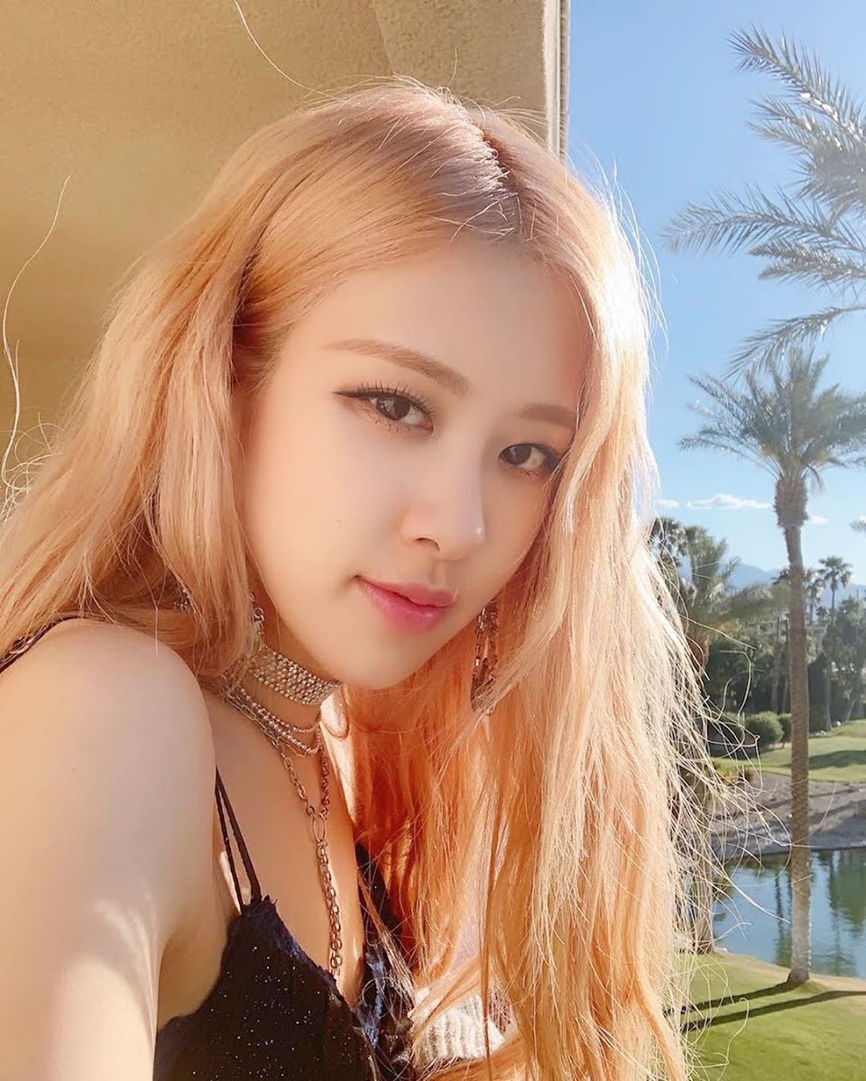 Rosé&nbsp;