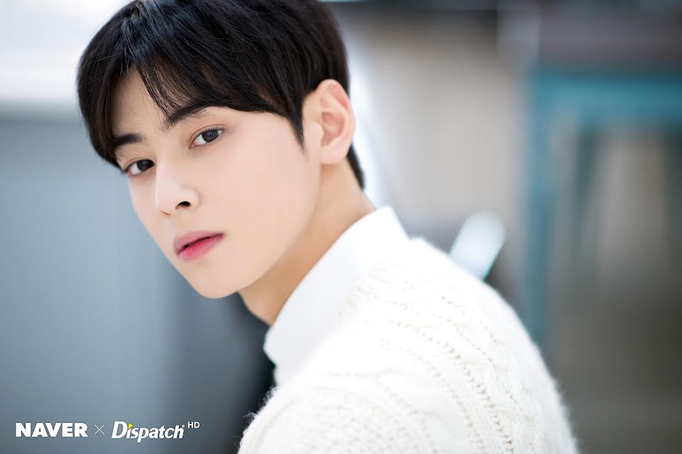 Cha Eunwoo