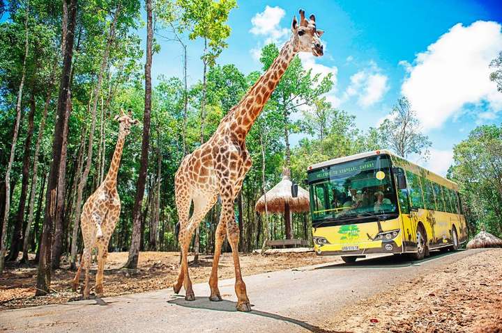 សួនសត្វVinpearl Safari Phu Quoc