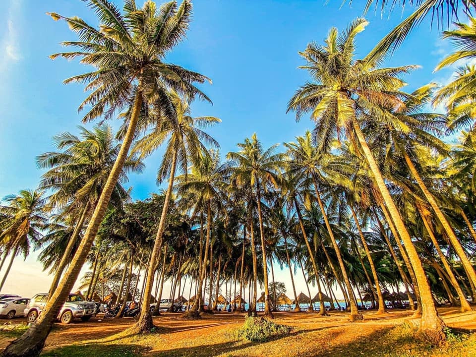 ទេសភាពនៅ  ឆ្នេរនេសាទ