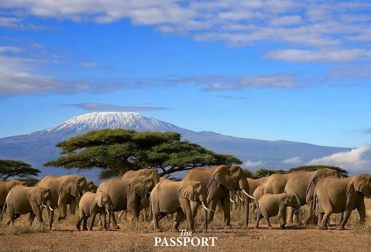 ទិដ្ឋភាពនៅ Mount Kilimanjaro