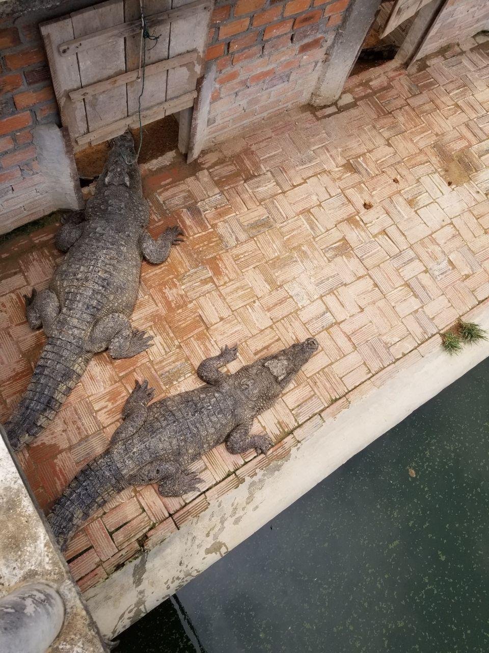 រូបភាព