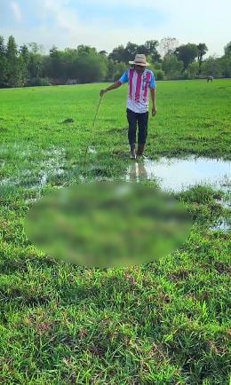 សកម្មភាពពិតៗ