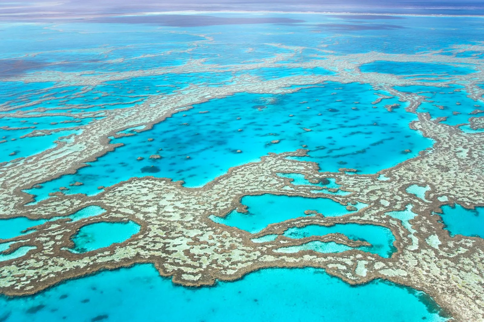 ថ្មប៉ប្រះទឹក Great Barrier Reef ប្រទេសអូស្រ្តាលី