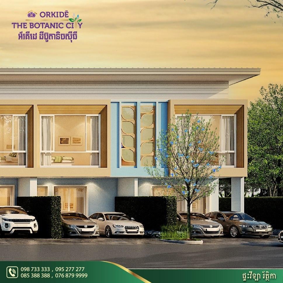 អ័រគីដេ