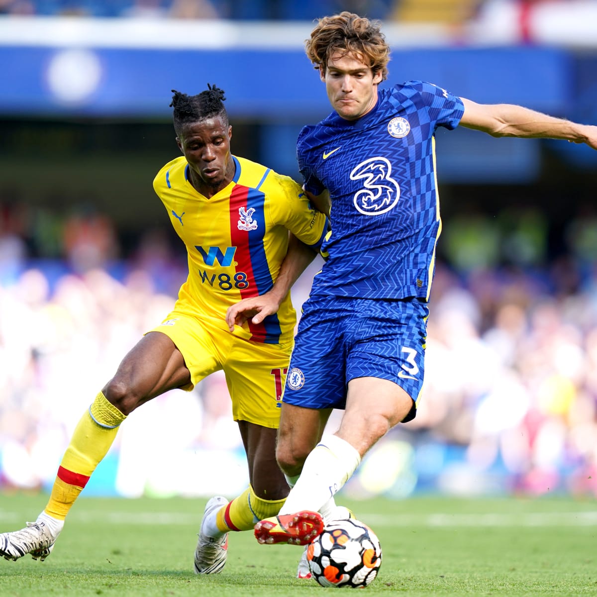 ខ្សែការពារ&nbsp;Marcos Alonso