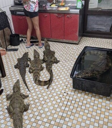 រូបភាព