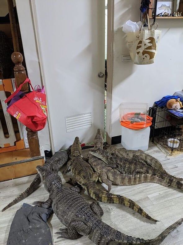 រូបភាព