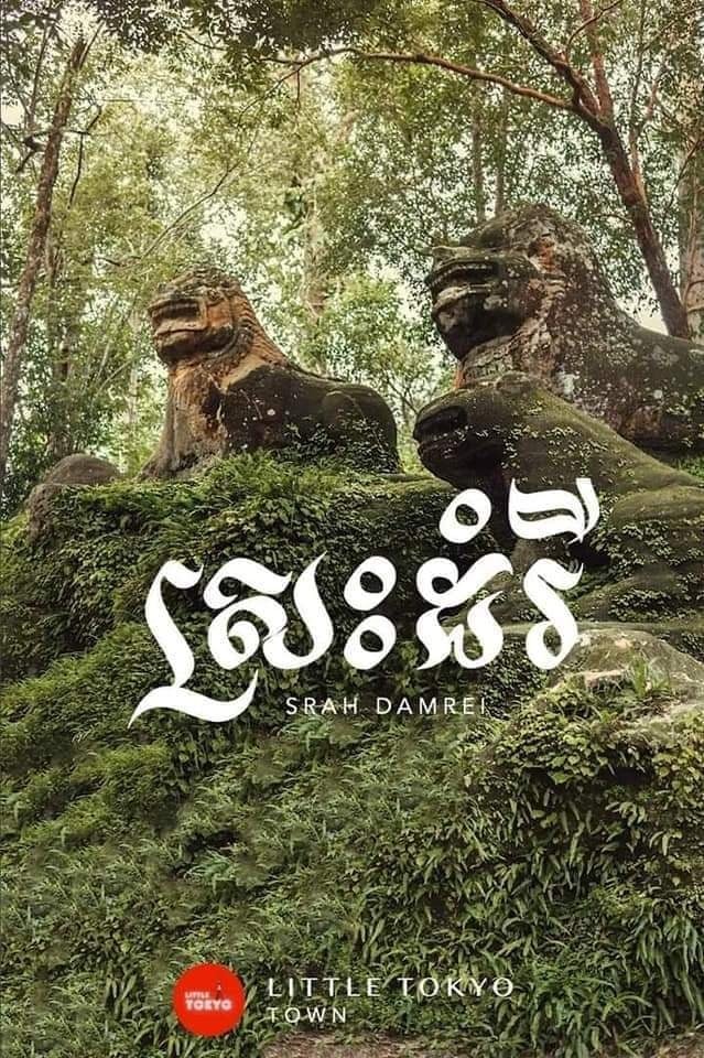 ស្រះដំរីលើភ្នំគូលែន
