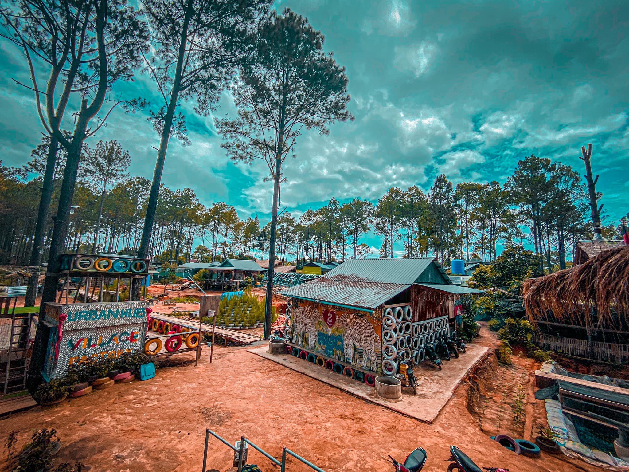 សាលាដូង