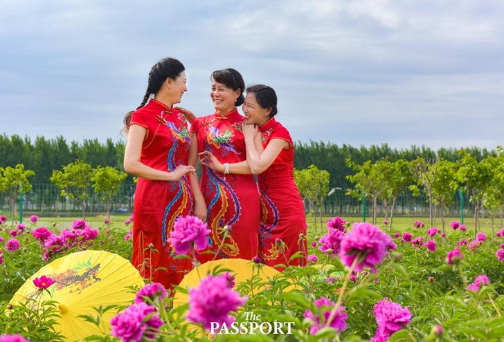 សម្លៀកបំពាក់ Cheongsam ប្រទេសចិន