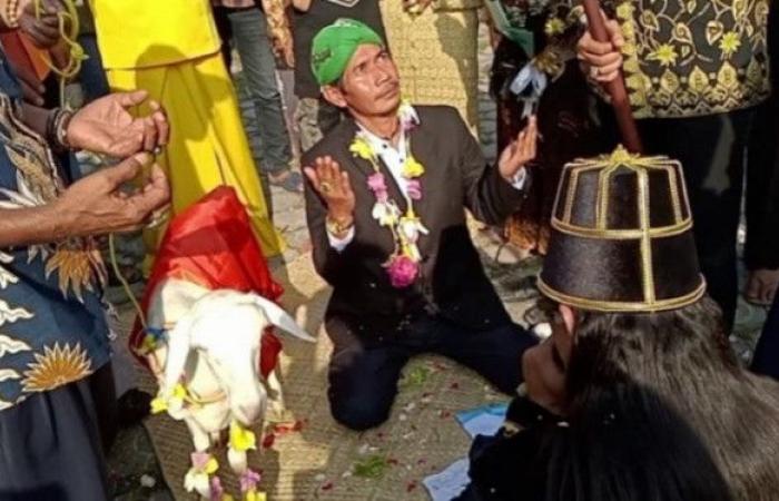 រូបភាព
